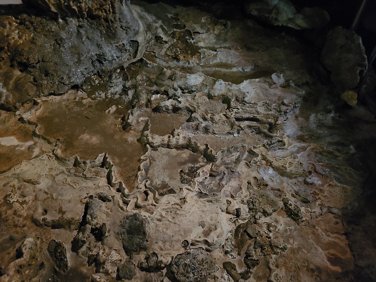 肉眼ではそうでもなかったんだけとカメラで撮るとめっちゃ緑だった 