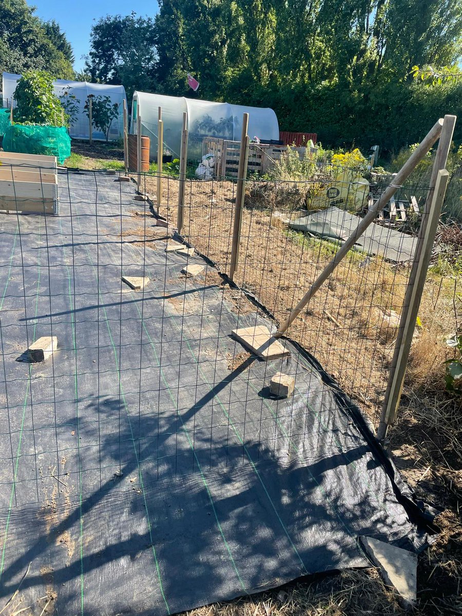 YMCAHumber's tweet photo. Our allotment has come a long way!! Thank you to everyone who has been part of transforming this space for us, we really appreciate it.😁
This space will soon be open to our residents to work their magic, and we cannot wait for them to get stuck in! 🥕🥦🌻
#engagementactivity https://t.co/cZLTQ68UCs