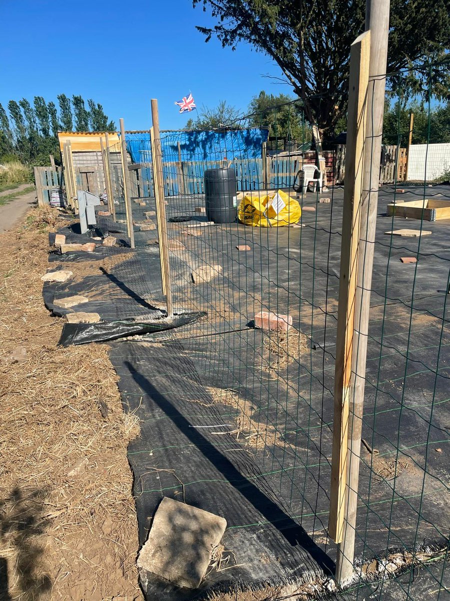 YMCAHumber's tweet photo. Our allotment has come a long way!! Thank you to everyone who has been part of transforming this space for us, we really appreciate it.😁
This space will soon be open to our residents to work their magic, and we cannot wait for them to get stuck in! 🥕🥦🌻
#engagementactivity https://t.co/cZLTQ68UCs