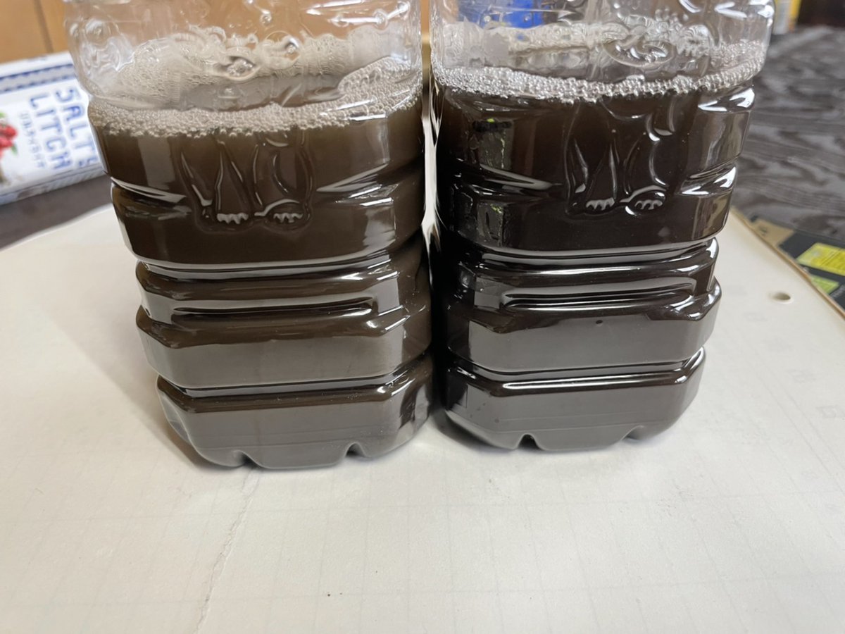 go_green_group's tweet photo. 夏休みの自由研究は捗っていますか?
ペットボトルに採取したヘドロと水、CUBEを2粒入れて変化を観察して記録するのはいかがですか🤗✨100g入りのCUBEなら手頃で、余ったらお台所の排水口にも使えますよ😆👍 https://t.co/0gWXbUsnVn #SDGs #使用済みカイロ #リサイクル #水質浄化 #使い捨てカイロ https://t.co/WWy0E0XyKn