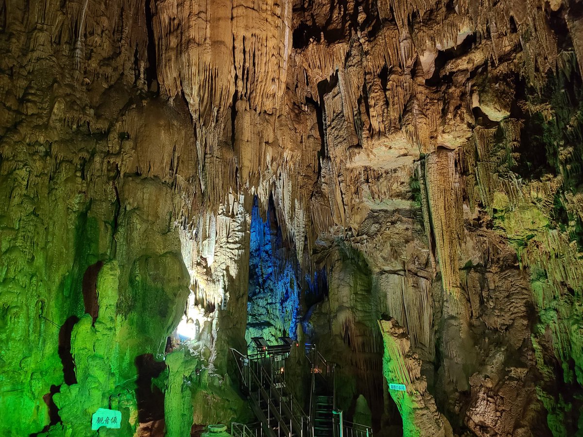 肉眼ではそうでもなかったんだけとカメラで撮るとめっちゃ緑だった 