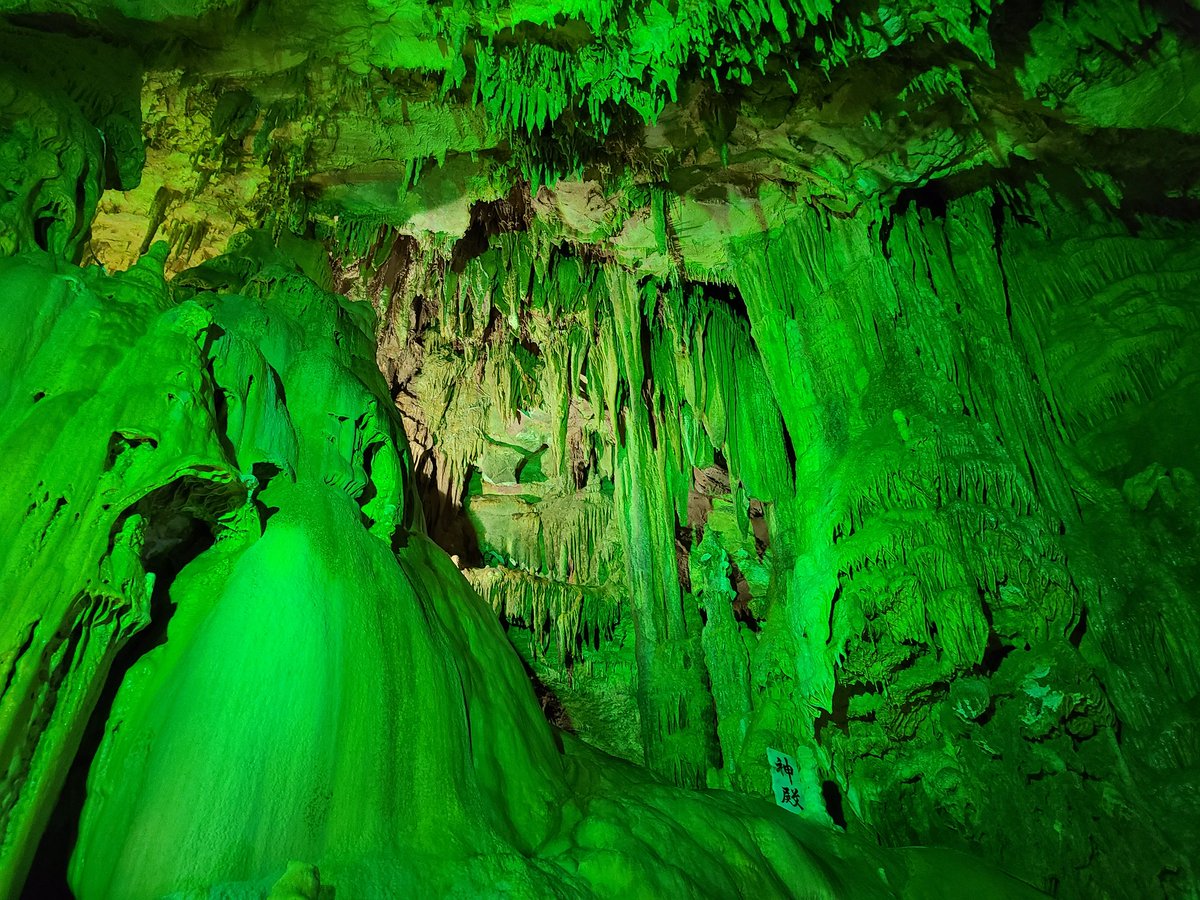 肉眼ではそうでもなかったんだけとカメラで撮るとめっちゃ緑だった 
