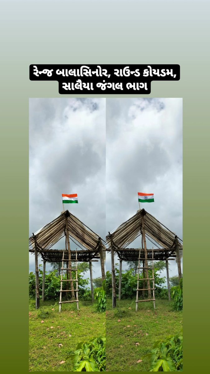 RFO_BALASINOR's tweet photo. #HarGharTiranga 
#IndependenceDay2022 
#IndiaAt75 
@CCFVadodara 
@dcf_mahisagar 
@Nevil_DCF 
@GujForestDept 
@PrantBalasinor 
@juhi_chaudhari https://t.co/JFPIvPD4xE