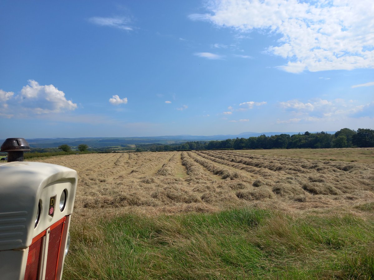 PinmoreLow's tweet photo. Hay making complete. 2.5 acres cleared for wildflower meadow in partnership with Nectar Network using a seed mix specially designed for grazing animals based on mg5 and 6 grasslands. Sweetcorn harvest now begins! https://t.co/UQVJkgtQEO