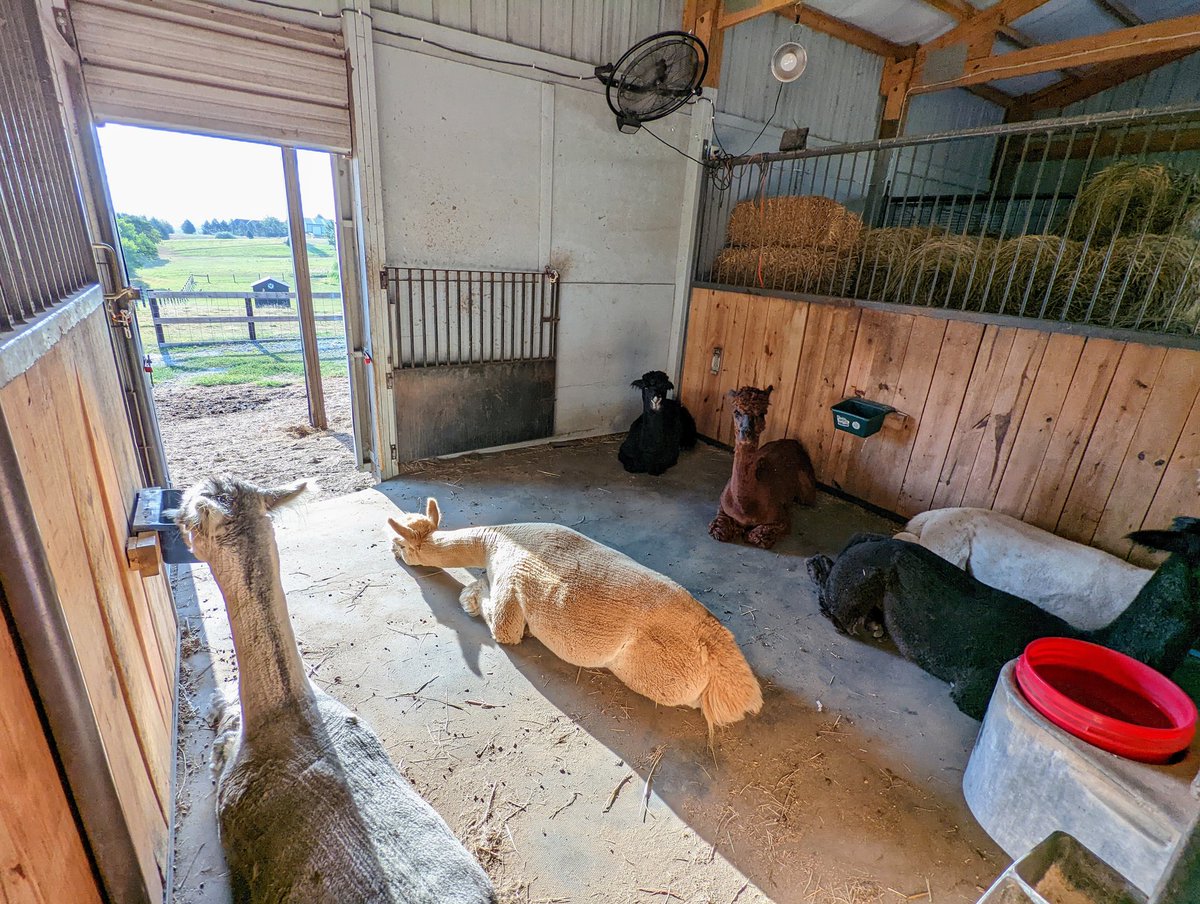 DocBohn's tweet image. Good morning