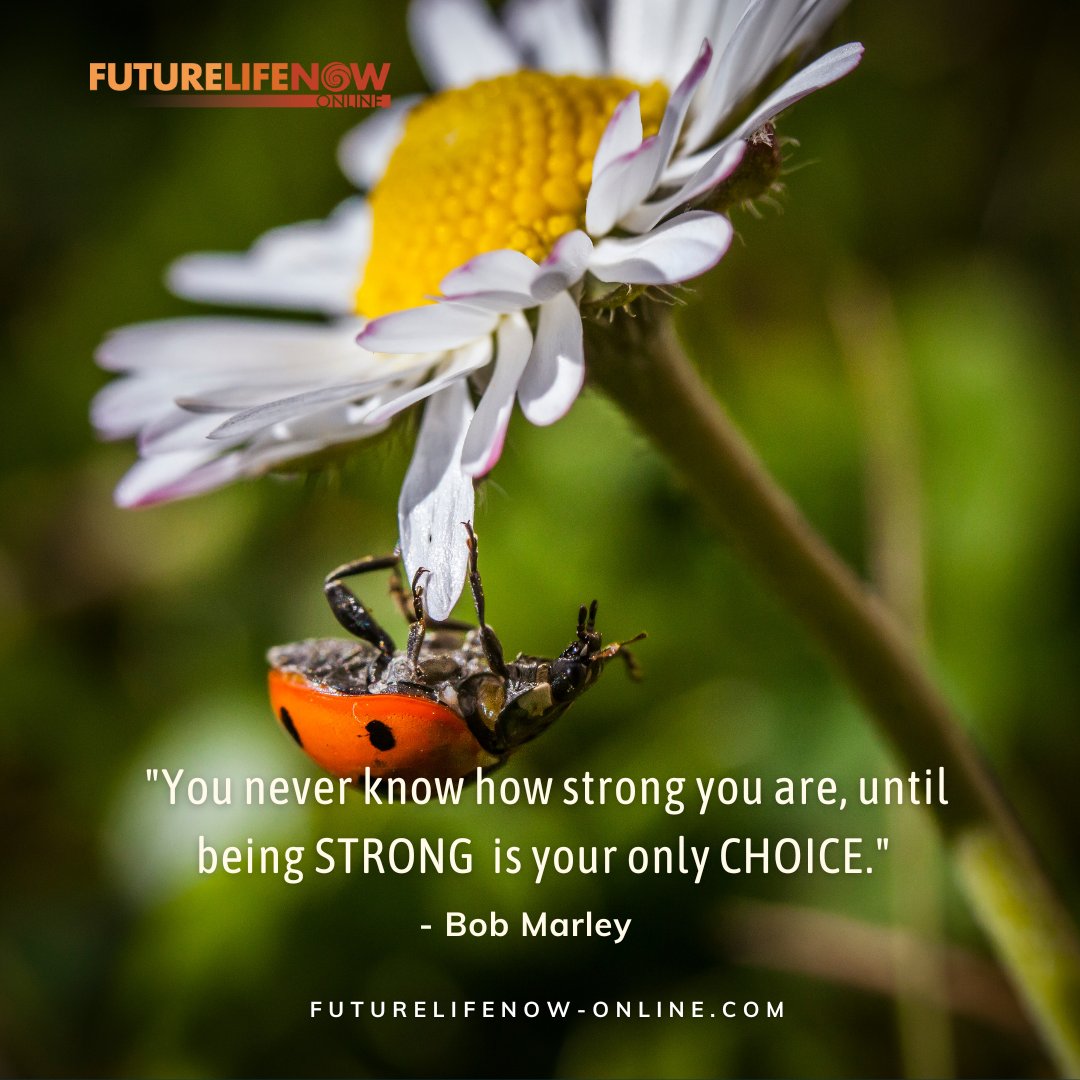 FutureLifeNow's tweet photo. Daily Quote: "You never know how strong you are, until being strong is your only choice." - Bob Marley
#mondaymotivation #mindsettools #somaticpractice #healthychoices #FutureLifeNow #somaticmovement#mindbodywellbeing #awarenessthroughmovement #movebetterfeelbetter https://t.co/C8aO2IpbPc