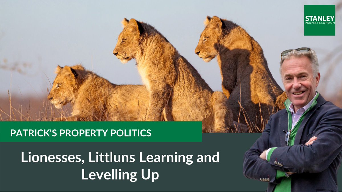 STANLEY PROPERTY LONDON tweet media