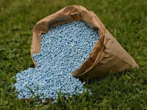 news_ghana's tweet image. Tanzania starts distribution of subsidized fertilizers to farmers dlvr.it/SWfg7L #EmergingMarkets #Aug14 #CAFS #DaresSalaam #Distribution