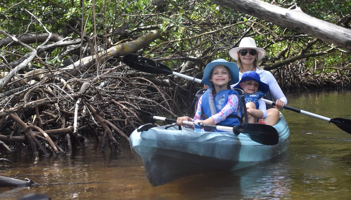 It may be back to school, but the learning never stops with #RisingTideFL ! Take the family on an educational tour this weekend!  #nature #kayak #getthekidsoutside #napleskidz #naplesfloridatravelguide #NeapolitanFamily #BiologistGuides #Naples #paradisecoast #MangroveMonday