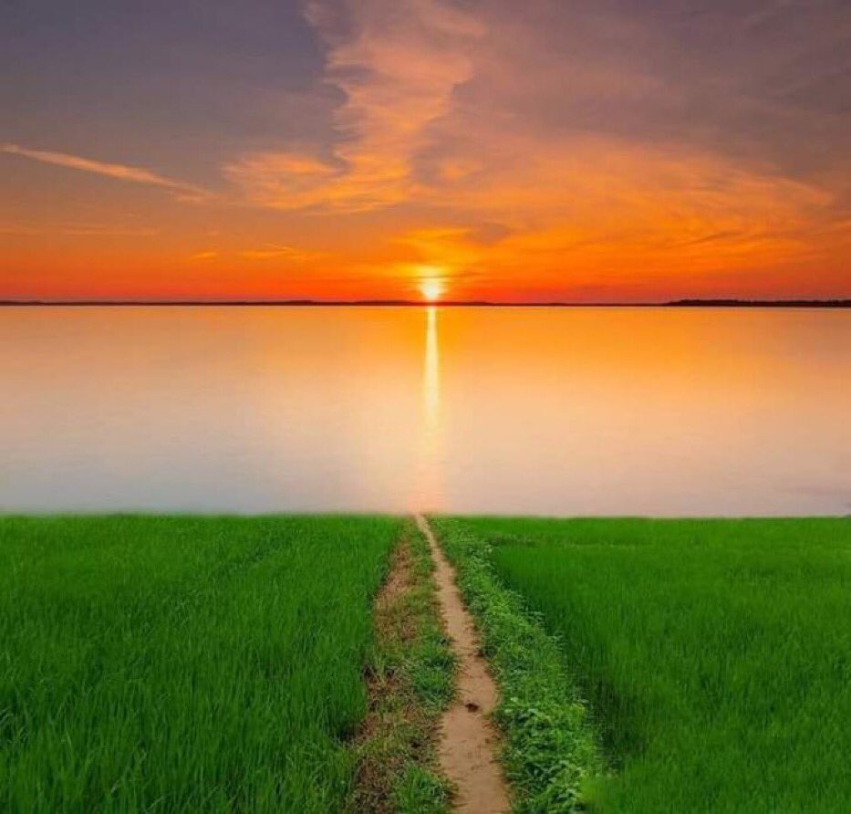 PARMARD87240401's tweet photo. #DoodleForGoogle

#DoodleForGoogle

Even nature is celebrating Azaadi Ka Amrit Mahotsav - Happy Independence Day https://t.co/IXgG888F42