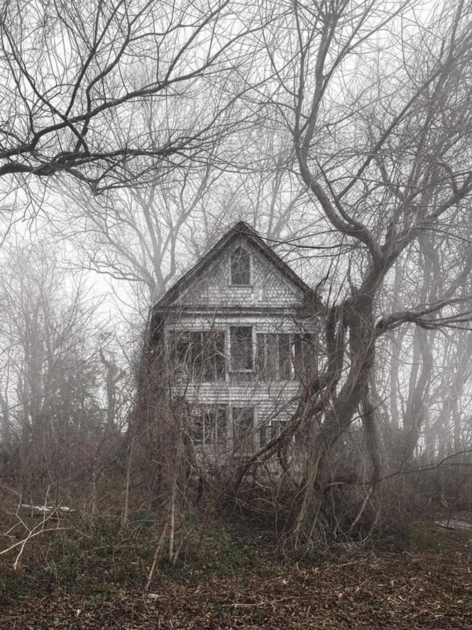 Simonal65407906's tweet image. 