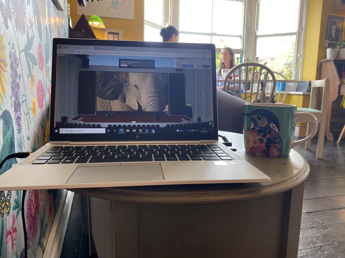 JamesBooty84's tweet image. The tentacles of COVID-19 continue to disrupt and challenge in many ways, including forcing this 28th IOCongress online. Not what Durban had originally hoped, but making the most by getting out and about while attending @InternOrniUnion @io_congress @EnvEast