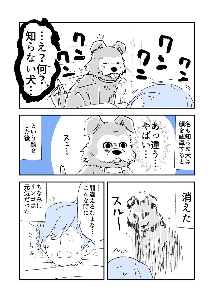 犬が逝き際に会いに来てくれた話
#人から聞いた不思議な話を漫画にしてみた 