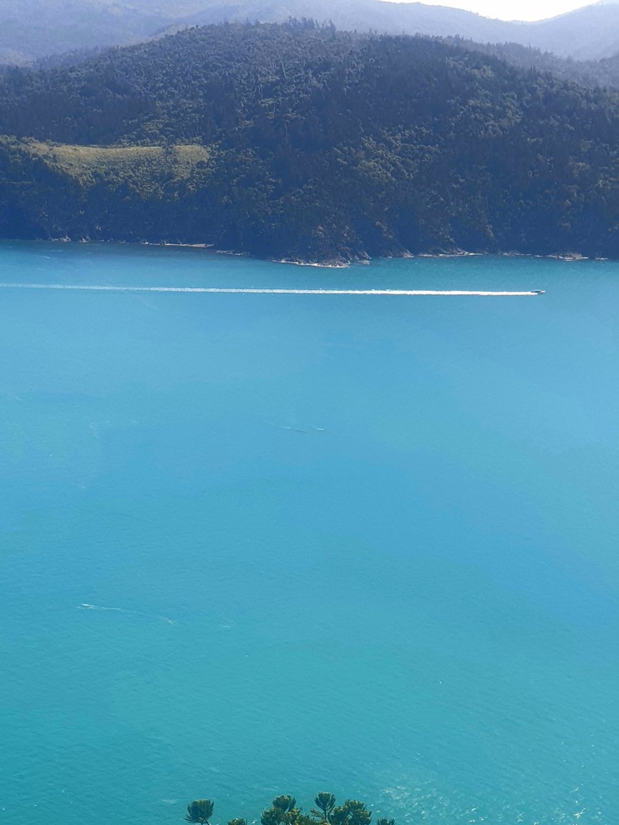 Xoey (@xobiacyan) on Twitter photo 