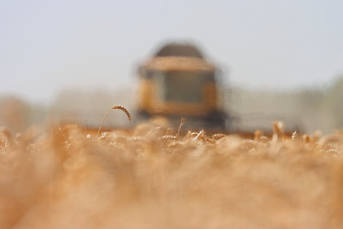 tracynoe11's tweet photo. Last of the skyscraper wheat harvest
#ShareMondays2022
#rotamphoto @Rotam_UK https://t.co/Cvk70IMGKh