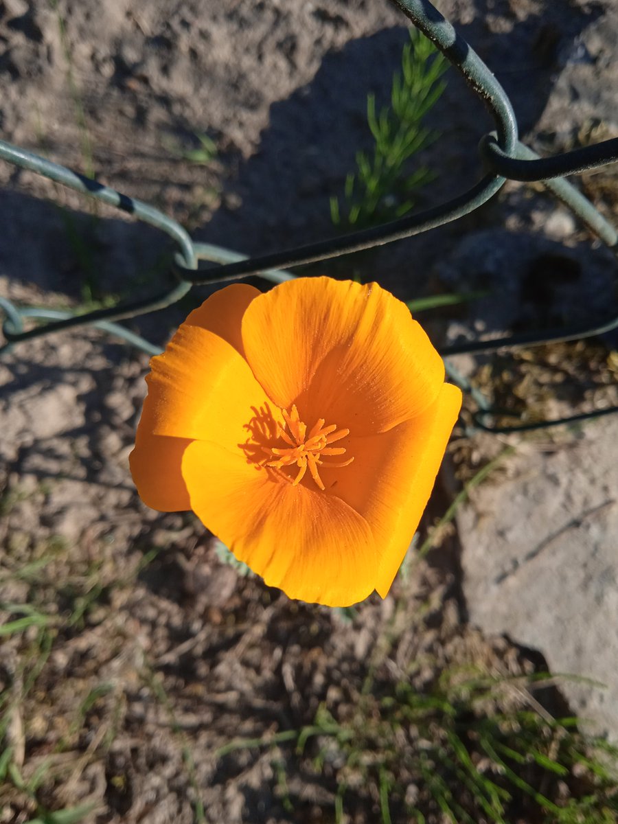 TheMessMess's tweet image. 