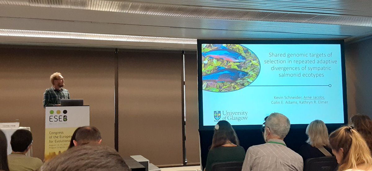 Sarah Salisbury tweet media