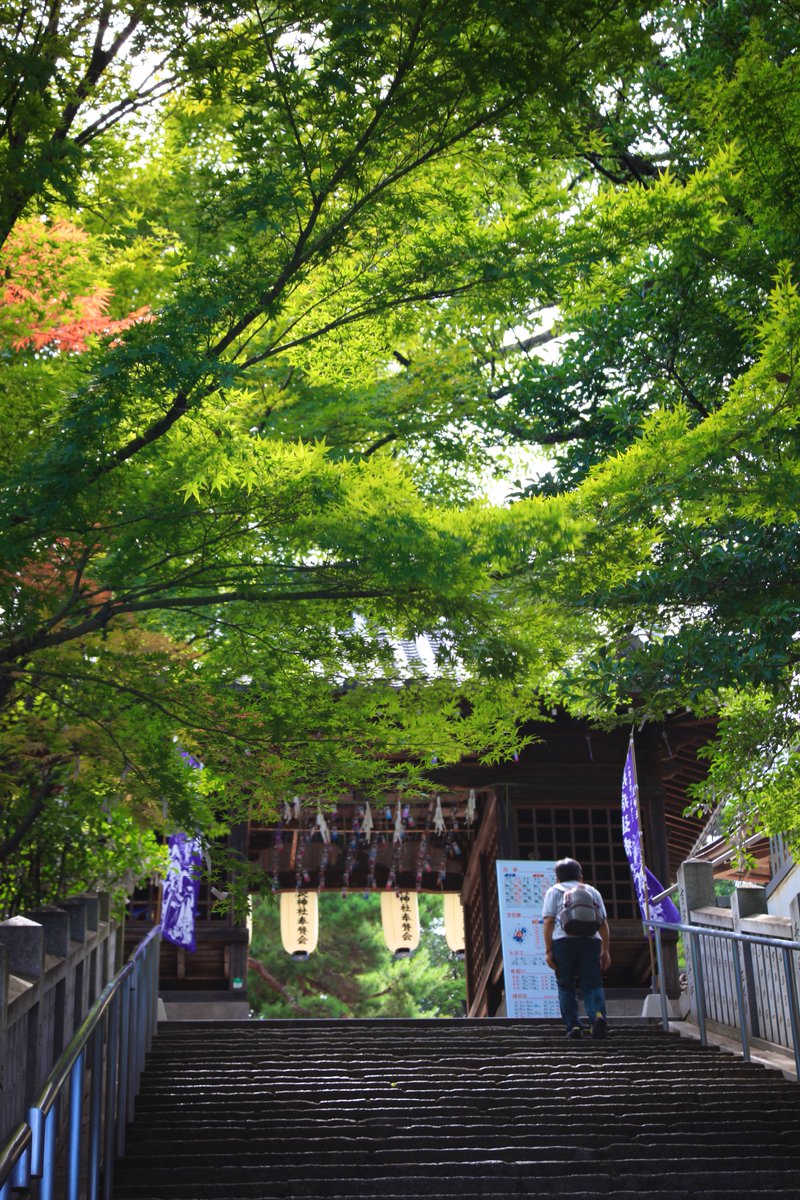 山門 のリアルタイムtwitter ツイッター ほぼ一覧