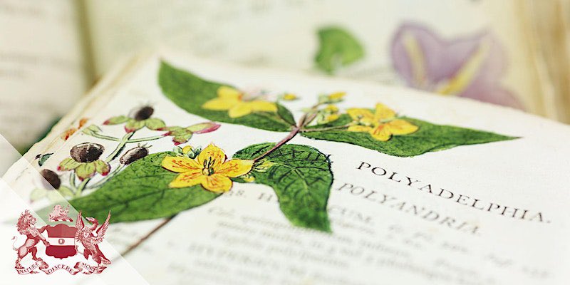 Will Beharrell tweet media