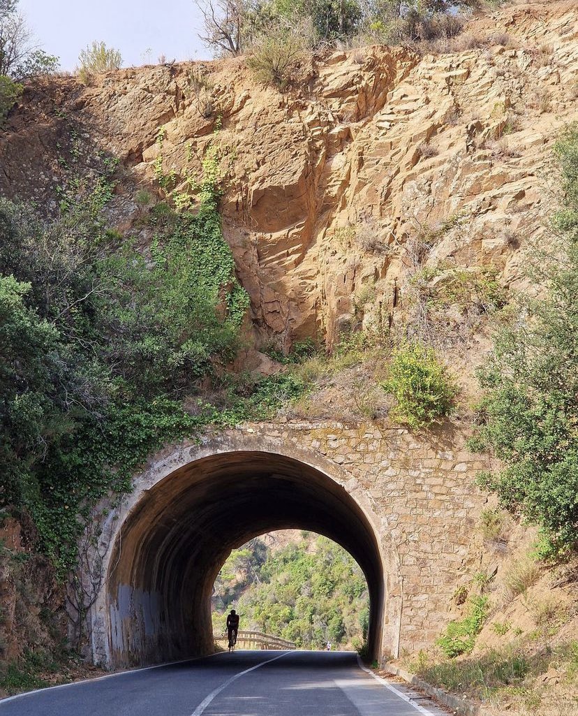 CryptoBikes tweet media