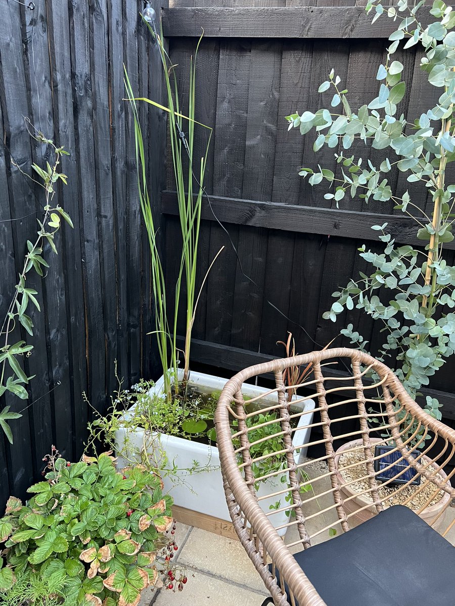 A little garden makeover we did over the weekend 🏡☀️