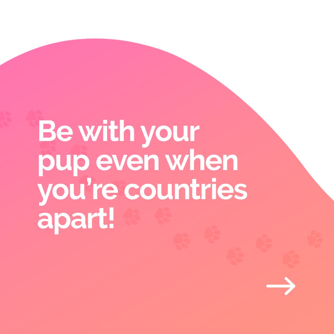 PupPod's tweet image. Leaving your #dog while you go on vacation? 

A #PupPod is the perfect summer companion, helping with this and more over the season!  

Learn more -&amp;gt; puppod.com/en-gb/blogs/pu…