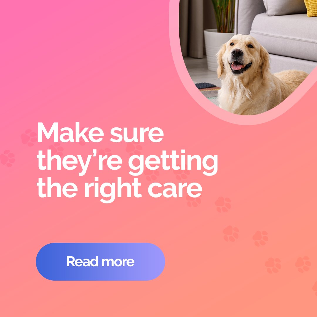 PupPod's tweet image. Leaving your #dog while you go on vacation? 

A #PupPod is the perfect summer companion, helping with this and more over the season!  

Learn more -&amp;gt; puppod.com/en-gb/blogs/pu…