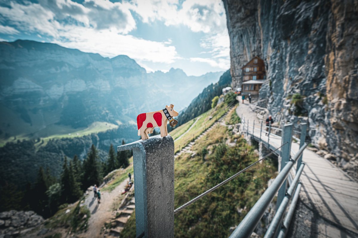 HappyLilly_'s tweet photo. The Berggasthaus #Aescher in #Appenzell Innerrhoden is one of those iconic Swiss sights perfect for taking pictures. 🇨🇭🏔
Of course I had to stop for one as well when I was there. 🐄📷
Have you already had the opportunity to visit this #Swiss classic? https://t.co/IER0ISBPVd