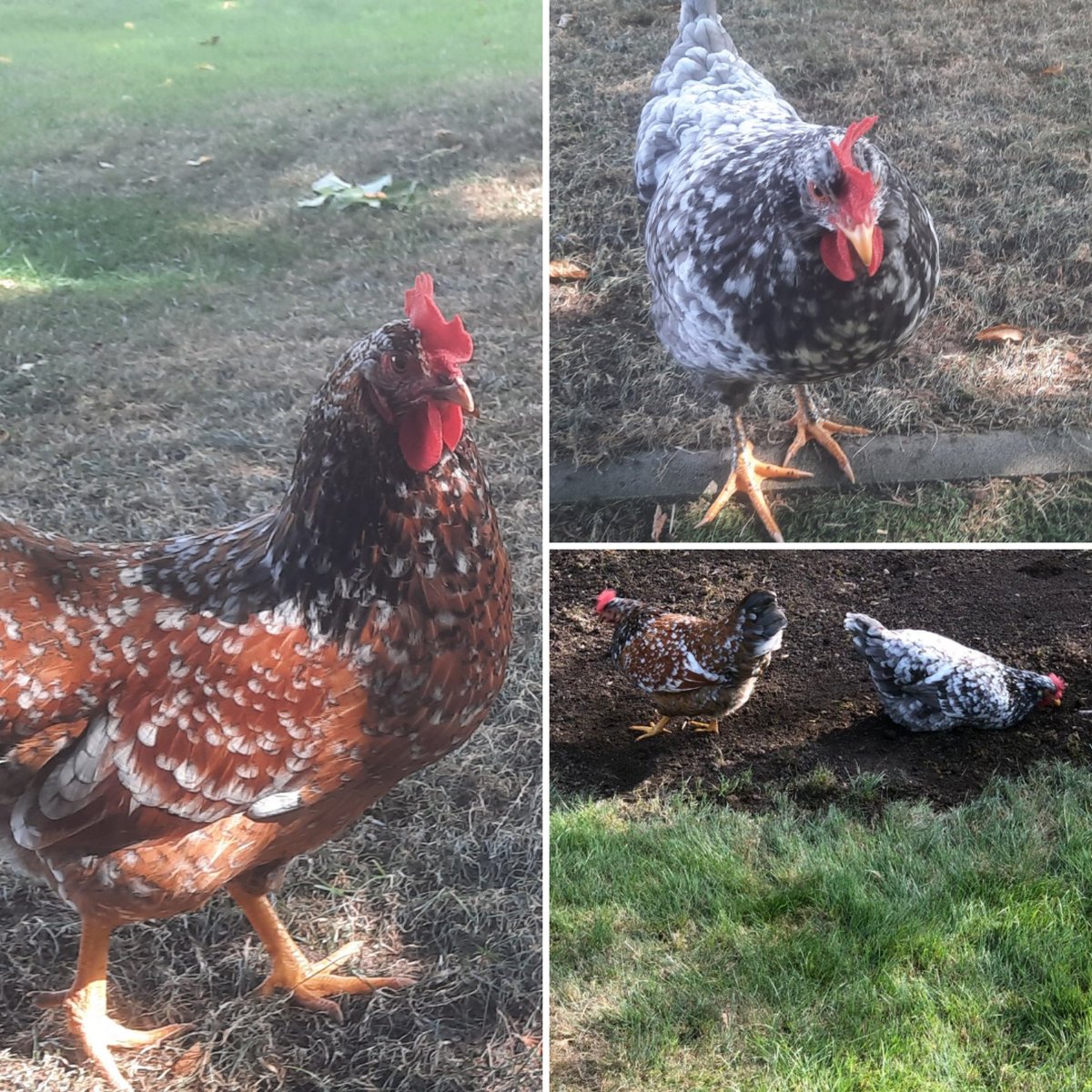 Jule 🪣 tweet media