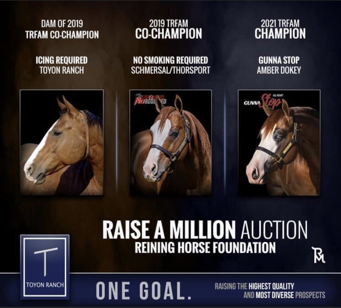 AlliThorson's tweet photo. Pretty neat auction item at the #RunForAMillion this week! #nosmokingrequired #thorsporrfarm https://t.co/lzYE5X5lYu