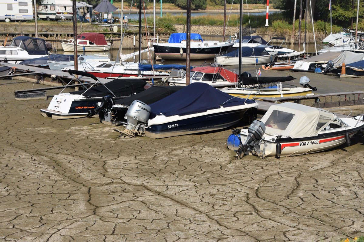 Watersport is ook niet meer wat het geweest is...
 😱
#Beusichem
Credits 📷 <a href="/CLeusden/">Cynthia van Leusden</a>