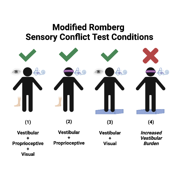Check out our new paper at …mentdisorders.onlinelibrary.wiley.com/doi/10.1002/md…

This study provides new evidence that increased vestibular burden during multisensory postural control processing may be specific for freezing of gait rather than falls in Parkinson.