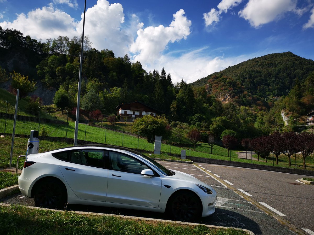 テスラ初心者🔰 tweet media