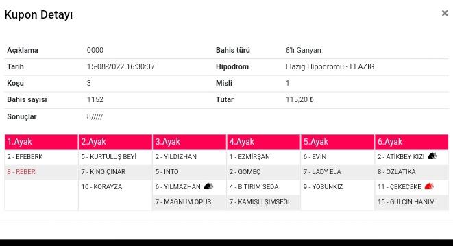 Bugün içimden oynamak gelmedi  dün gece elazi çalışmam  kaydettim  oynamadim