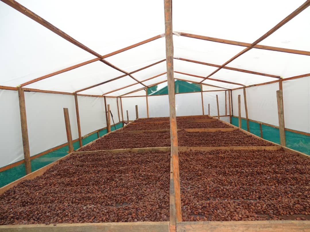 robinsonnakwasa's tweet photo. Meet The Farmers Guide, 1 of the youth led initiatives supported by @rikolto under its #GenerationFood program aimed at empowering youths in #agribusiness to co-create & innovate to +ly impact #FoodSystems .
Design & installation of solar driers in Ug
-geofreyoluka22@gmail.com https://t.co/zUR3tI1EtZ