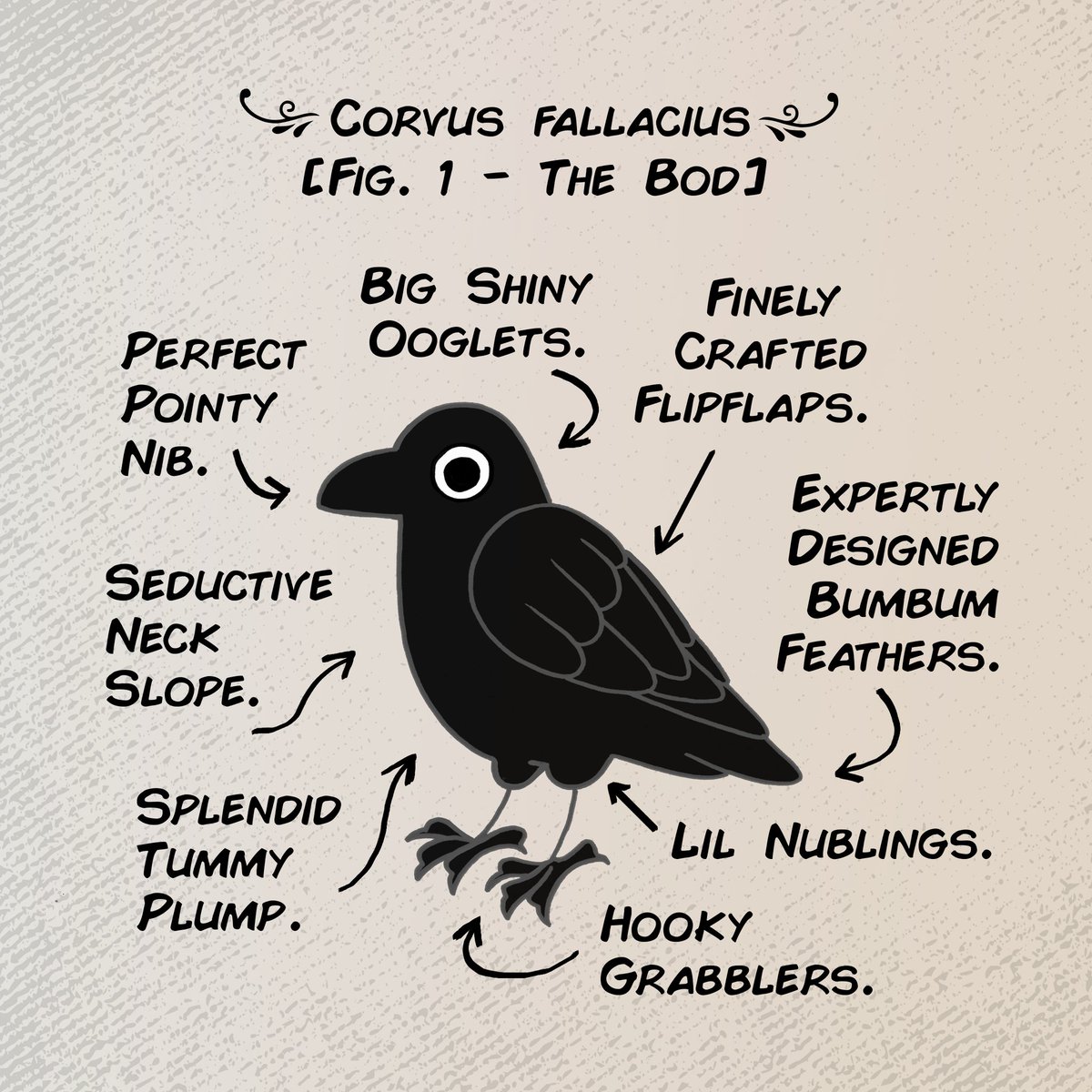 New Crow Time (1/2) 🖇📎 
