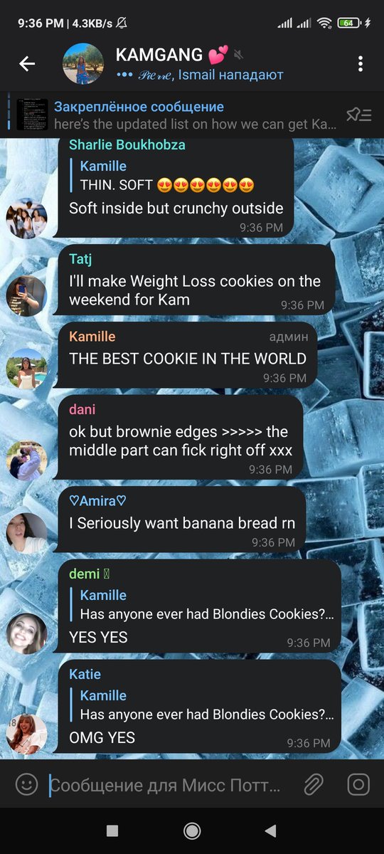 umaycallmejas's tweet photo. not the #kamgang discussing about cookies with @KamilleXX 💀😂 anyways #streamweightloss #forkam https://t.co/Q4odMvExD9