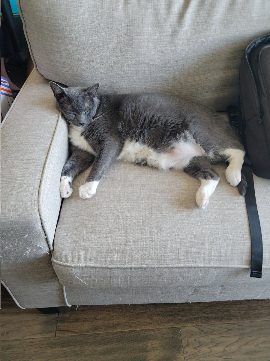 Mondays be like ⬇️