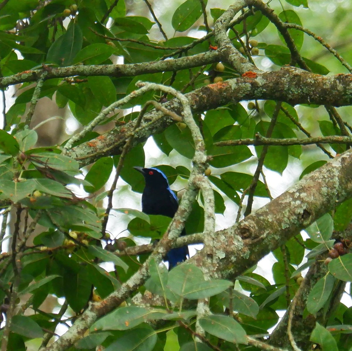 xplotrails's tweet photo. CLICK DURING BIRDING!
#xplotrails #trekking #birding #camping #photography https://t.co/CKz5RPy4jm