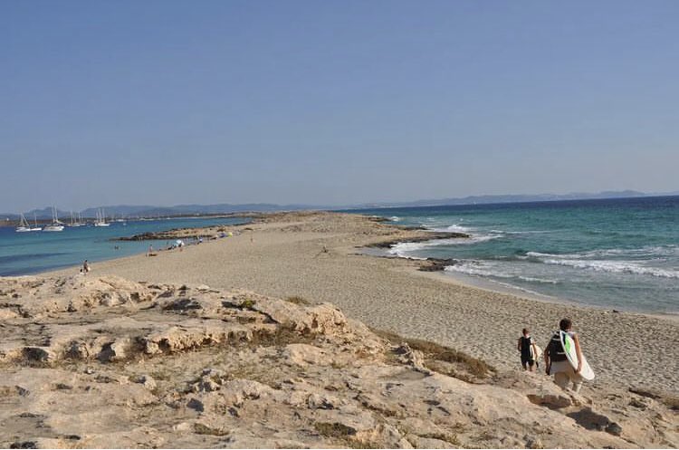 surf_base's tweet photo. #Formentera &amp; #Waves🌊
#SurfBaseBarcelona #surf #surfejar #surfing #surfbcn #surfbarcelona #surfcatalunya #surfbarceloneta #surfpoblenou #surfingschool #surfskate #soulsurfer #surfline #tripsurf #aftersurf #vidapirata #oceanlove #mediterraneansurf #surfingworld #bsurfers🏄🏄🏻‍♀️ https://t.co/BRGfJrlWXI