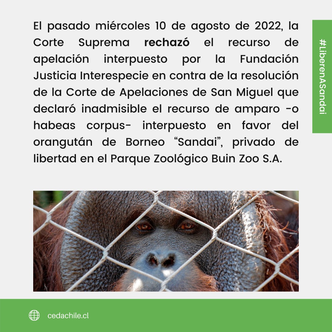 Fundación Justicia Interespecie tweet media