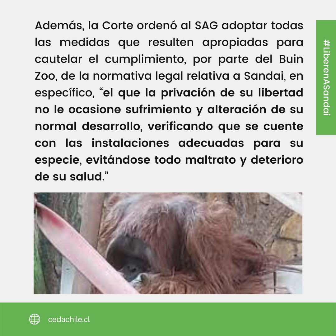 Fundación Justicia Interespecie tweet media
