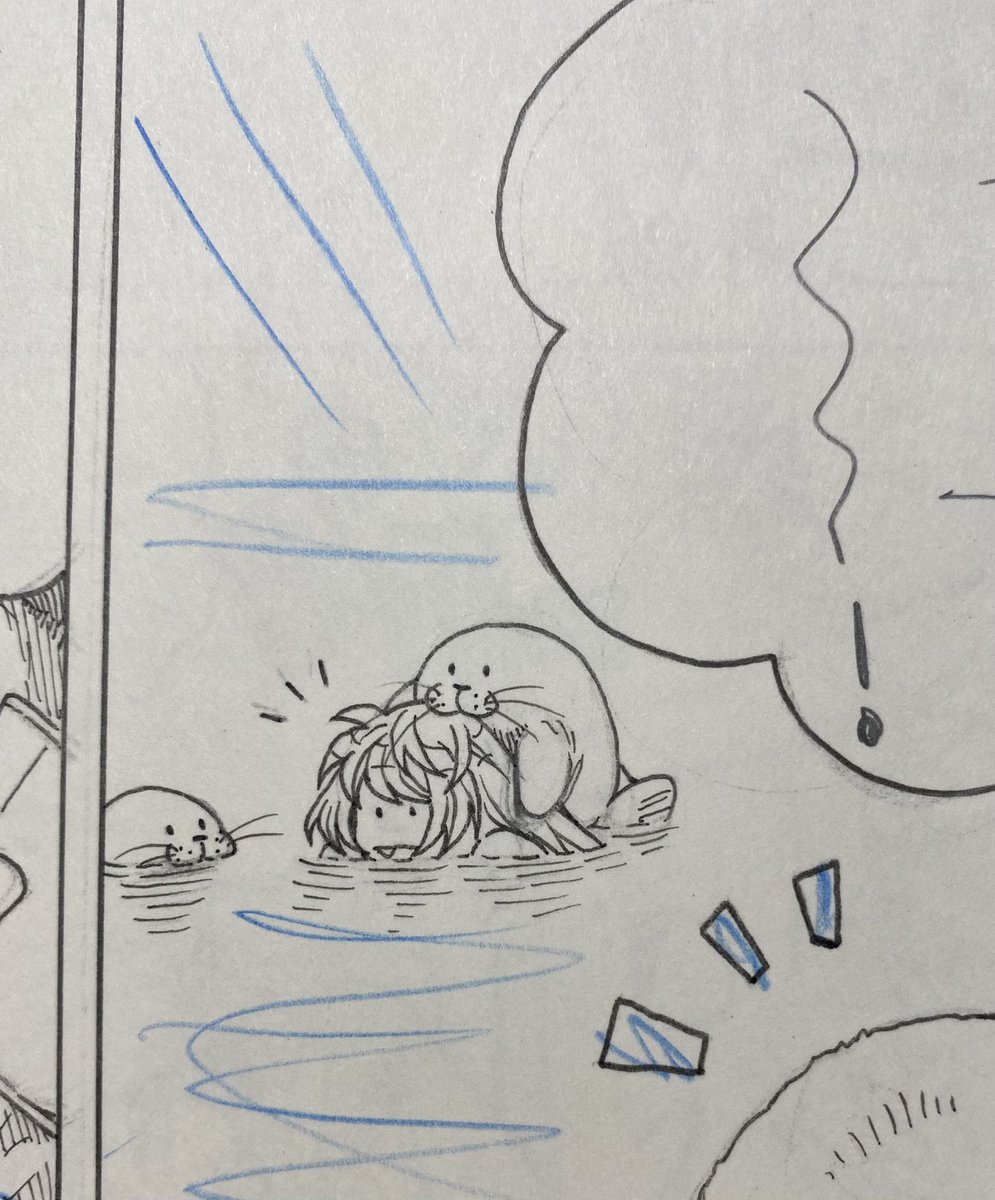 いったんアザラシ見ておちつこう 
