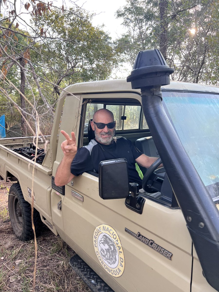 Robert Anemone tweet media