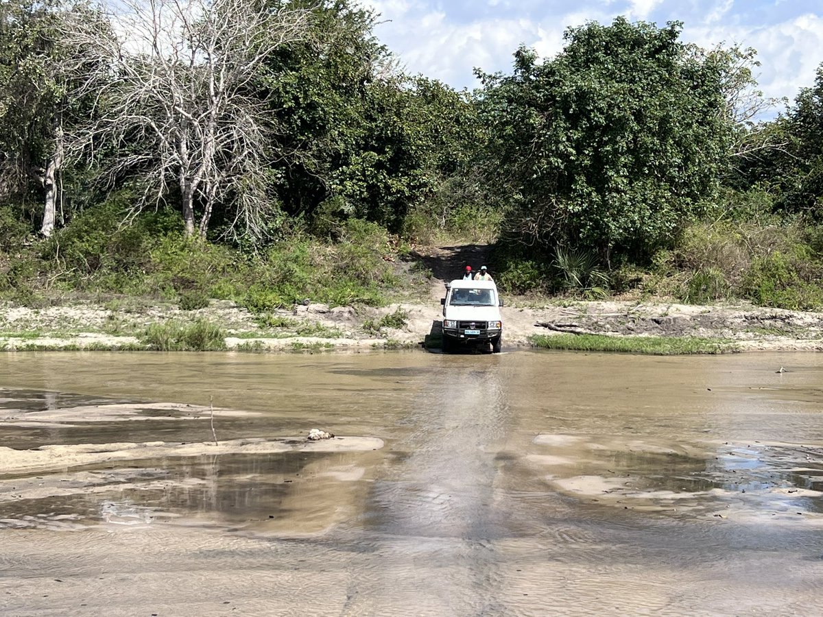 Robert Anemone tweet media