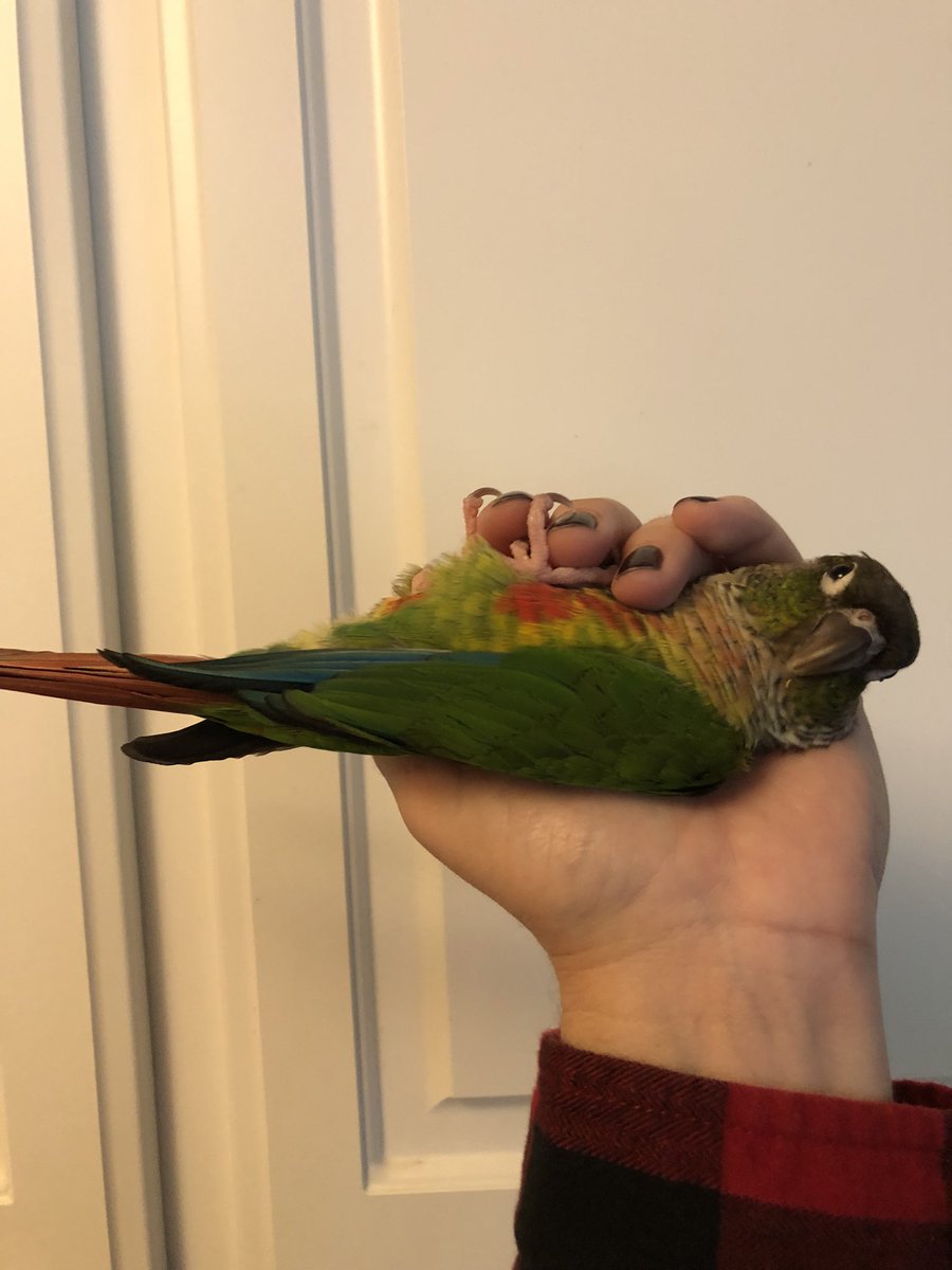 …like one of your French girls? #mondaymood