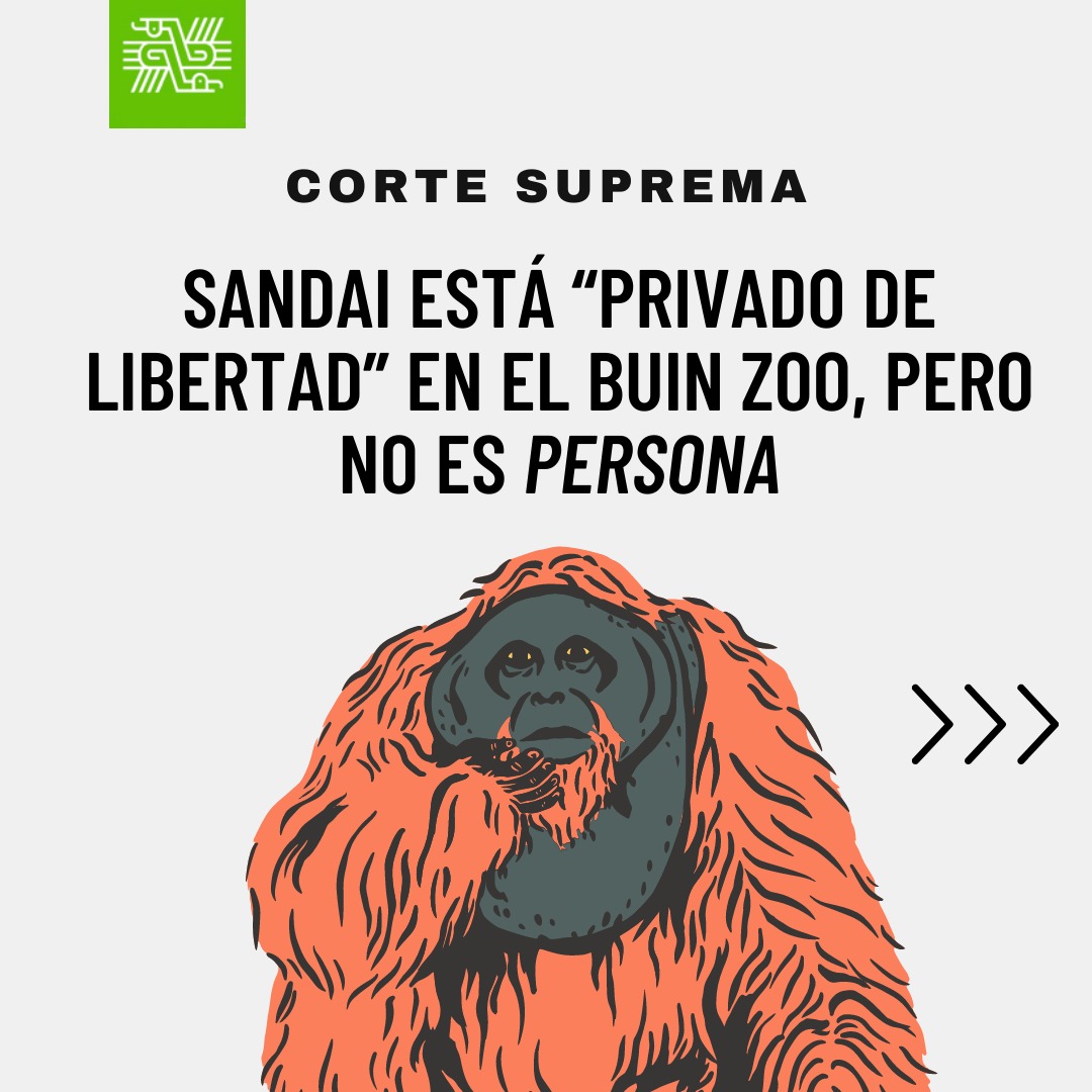 Fundación Justicia Interespecie tweet media