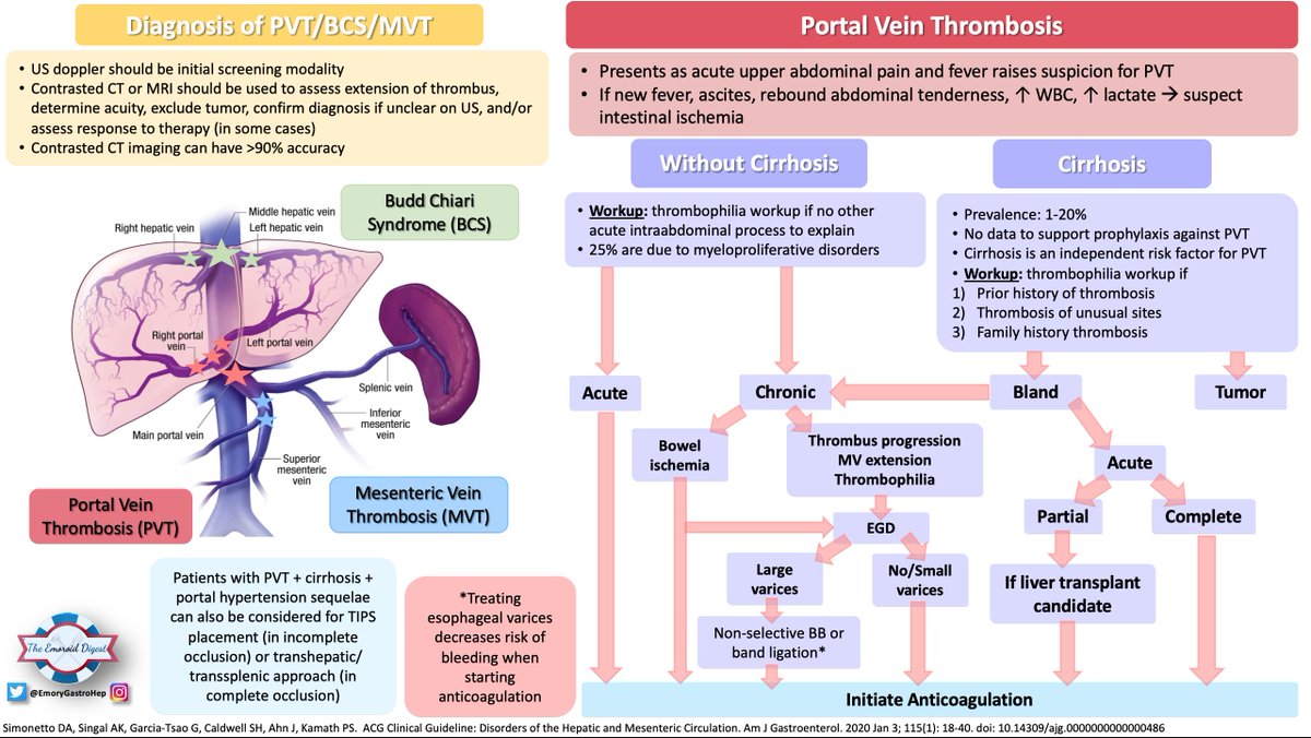 EmoryGastroHep's tweet photo. 🔥🔥 Emoroid Digest 🔥🔥

Now for Part 2...check out Dr. Veeramachaneni's @hima_vee summary of the ACG guidelines on disorders of hepatic and mesenteric circulation! 

A hefty but VITAL article on bleeding and clotting in some of our sickest patients. A great visual summary!! https://t.co/5D0XluHi9Z