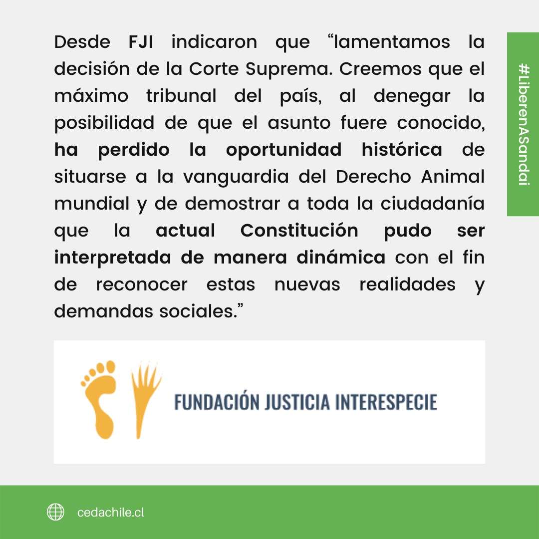 Fundación Justicia Interespecie tweet media