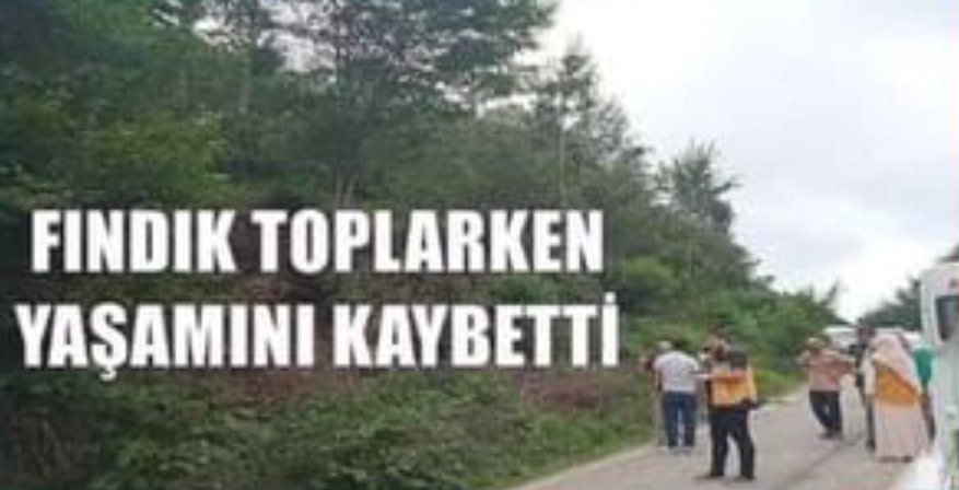 fatsagibi's tweet photo. 18 yaşında ben: Moruk bu şehirden gitmem lazım acil bağ bahçe ne varsa satıp Almanya'ya yerleşicem

70 yaşında me; https://t.co/Aqulf5AlM4